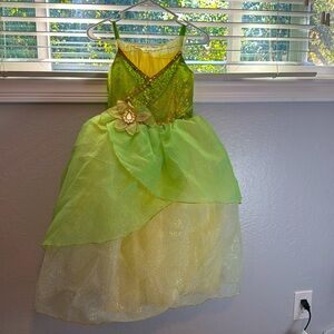 Princess Tiana Dress Up size 7/8